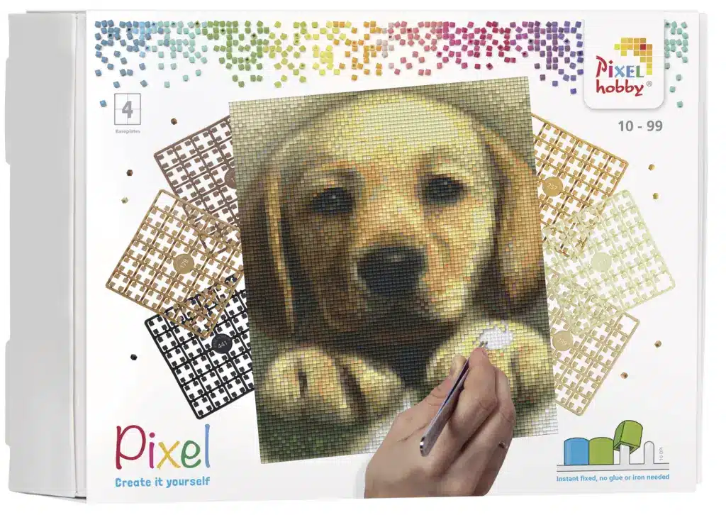 Kit 4 basisplaten en ± 100 pixelmatjes - Golder Retriever