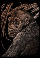 COPF18 COPPER EA APE